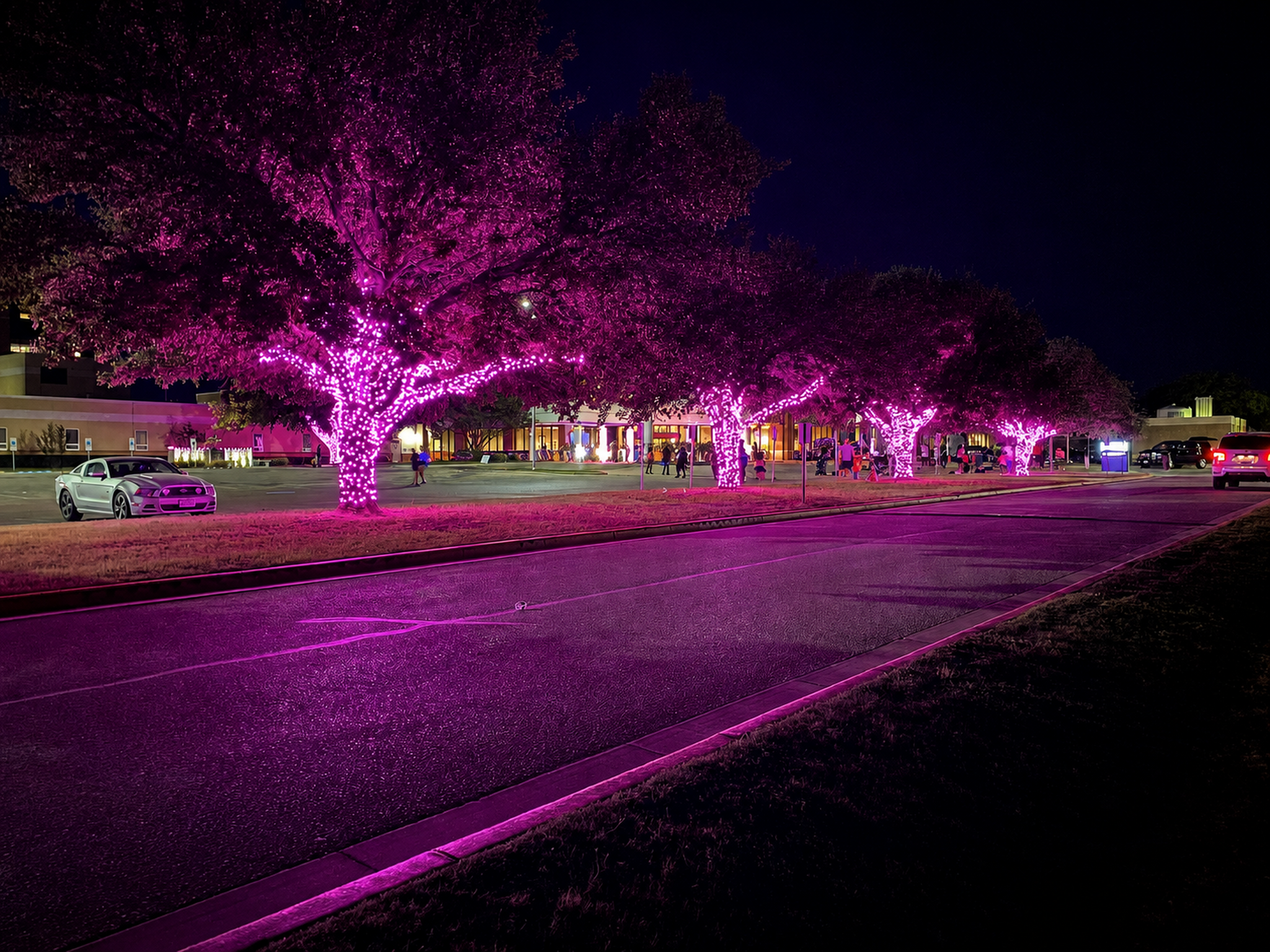 Trees wrapped in pink lights for a breast cancer awareness event