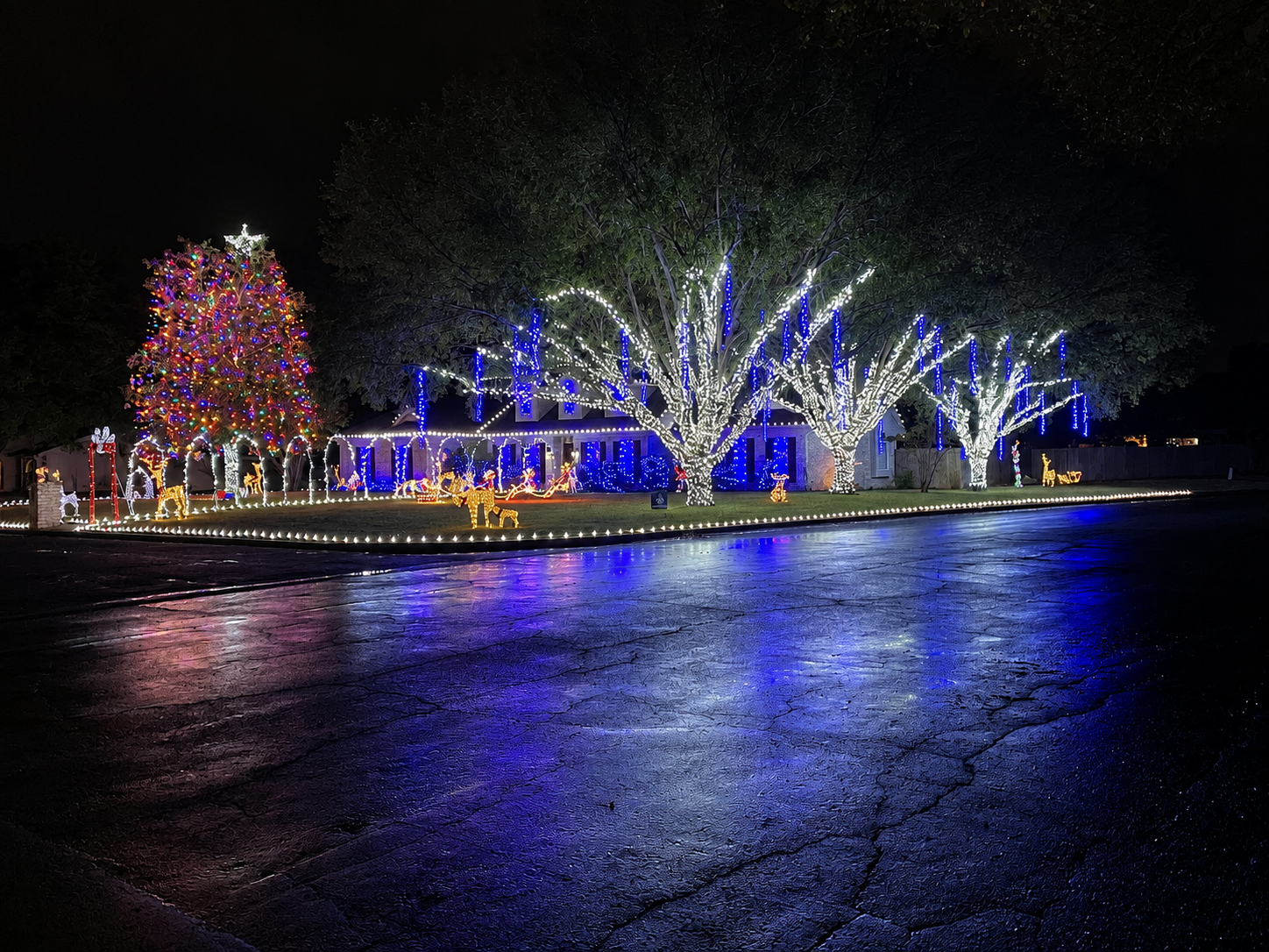 A customer's complete holiday vision with illuminated trees, home, and lawn decorations